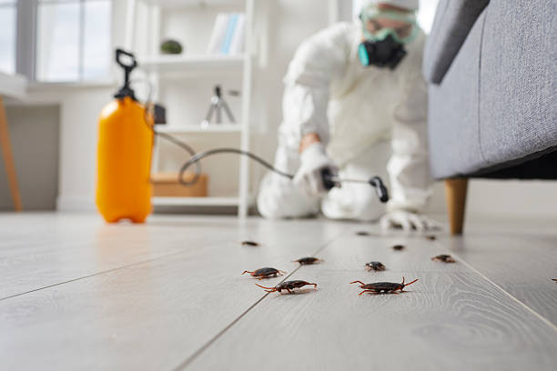 Trusted Fumigation Services service in Wurtland, KY - Nex Pest Control